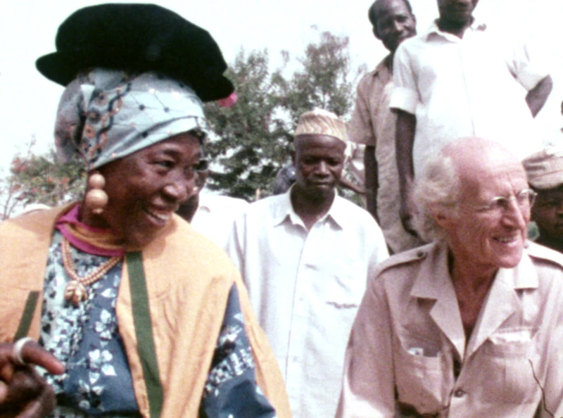 The Persistence of Memory