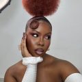 Top Afro-Luxury Hair Trends Set to Define 2026