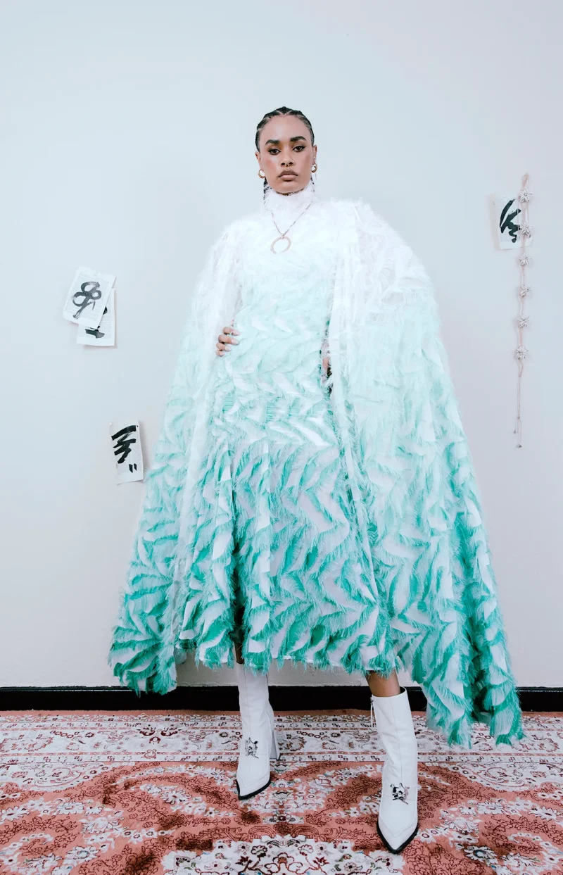 African Heritage, Global Vision