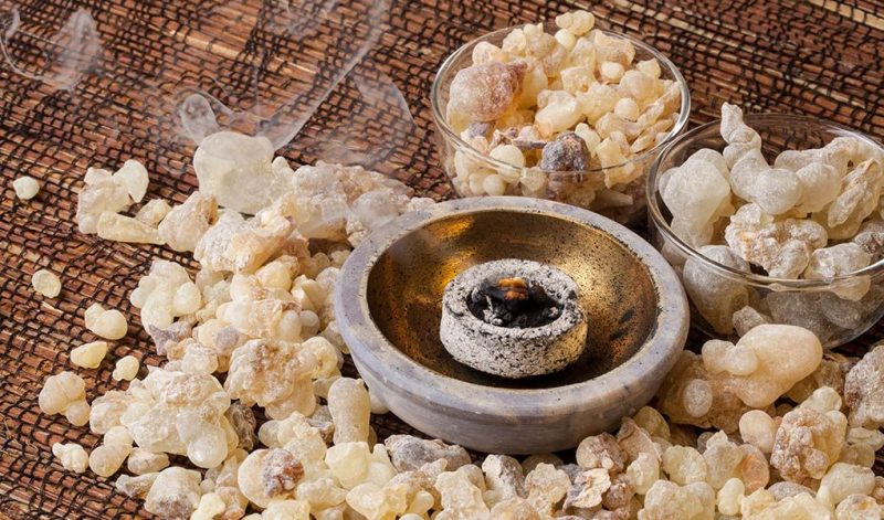 The Legacy of Frankincense