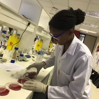 A Market Demanding Precision, Not Assumptions