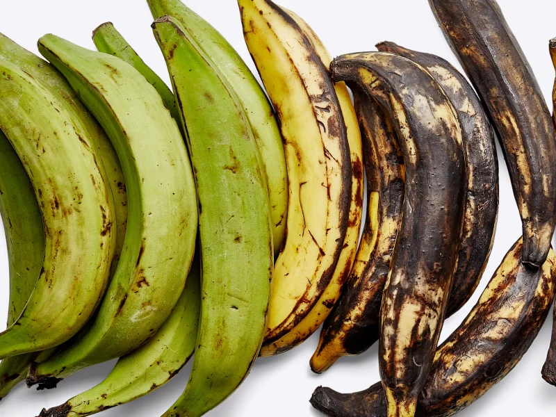 A picture of plantain, a nourishing option for women.