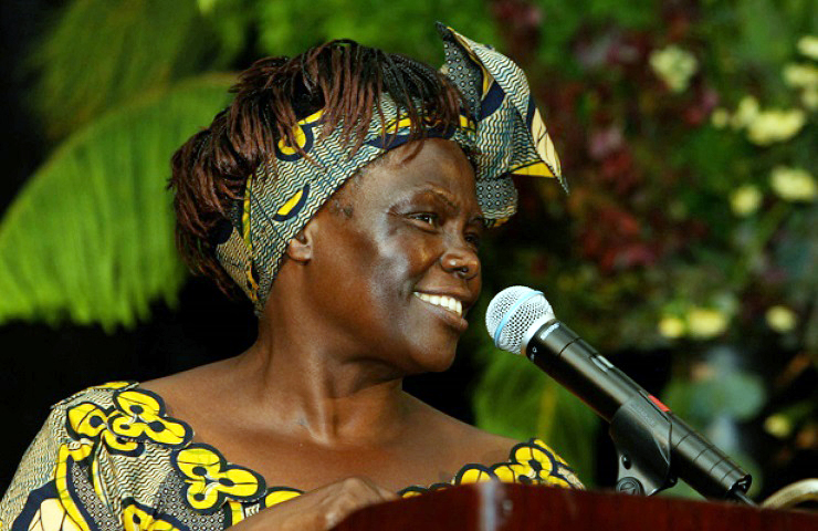 Wangari Maathai, a Nobel Peace Prize laureate, whose Green Belt Movement planted over 51 million trees in Kenya.
