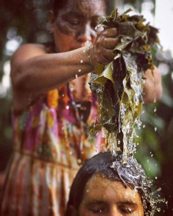 Ancestral Provenance and Cultural Identity