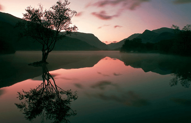  A picture exuding peace and calm.
