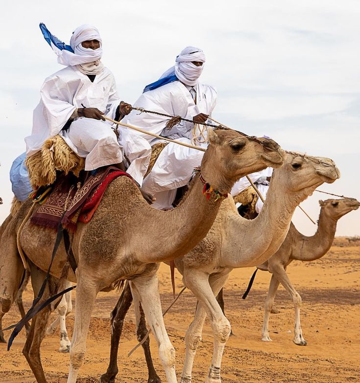 Arab Design Principles Born From Desert Life
