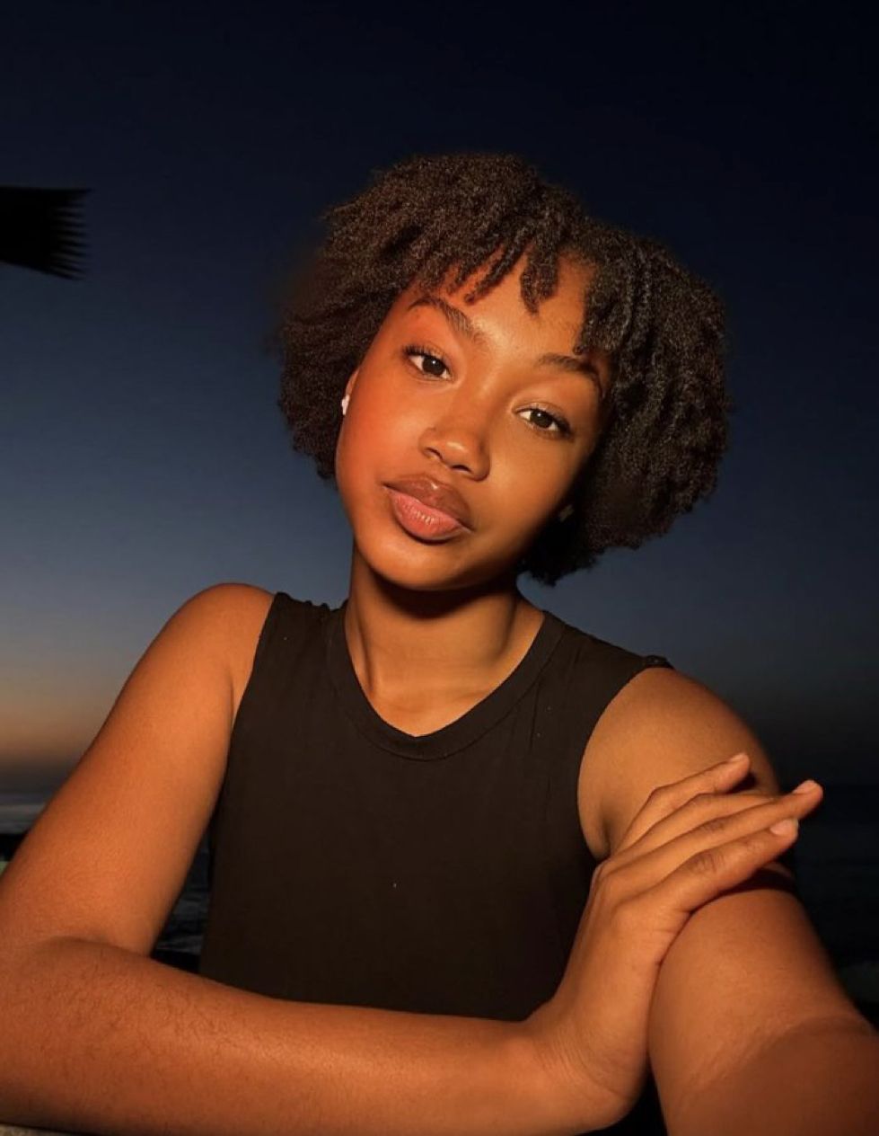 Craftsmanship As Cultural Capital