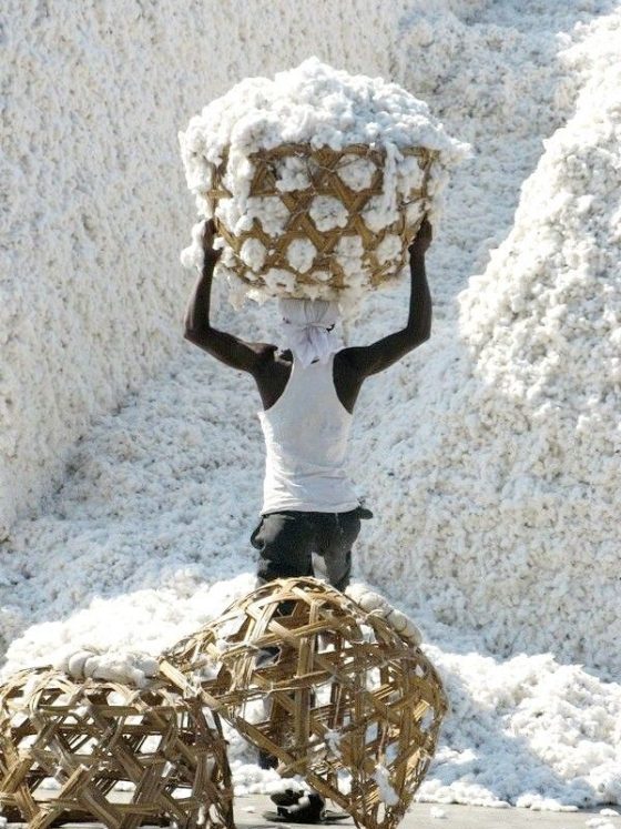 The Global Migration of Cotton: How One Fibre Connected Civilisations and Closets