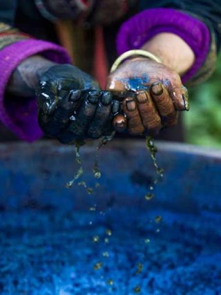 The Biography Of Indigo: From Colonial Currency To Blue Gold