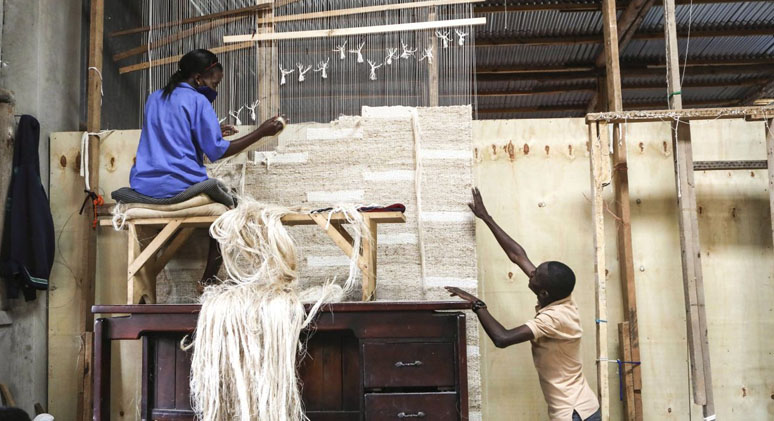 Banatex-EA and the Intelligence of Systems