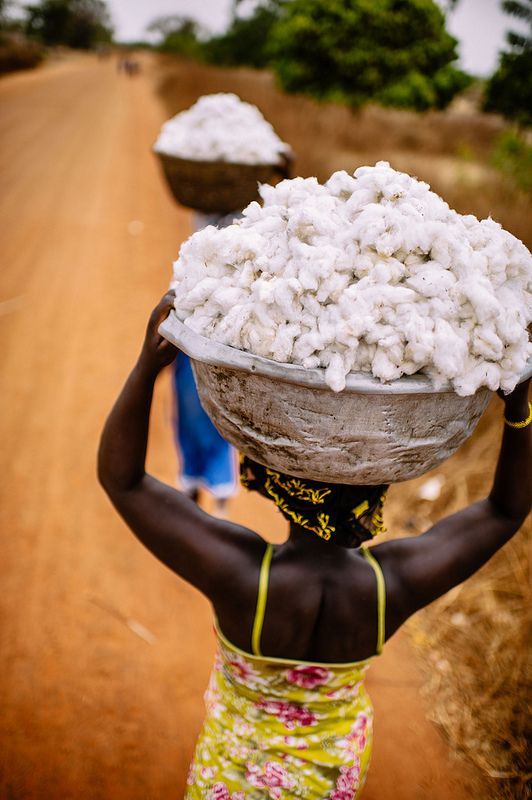 Reclaiming the Narrative