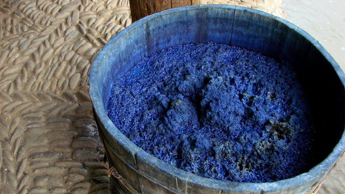 A picture of indigo dye, known as the blue gold.