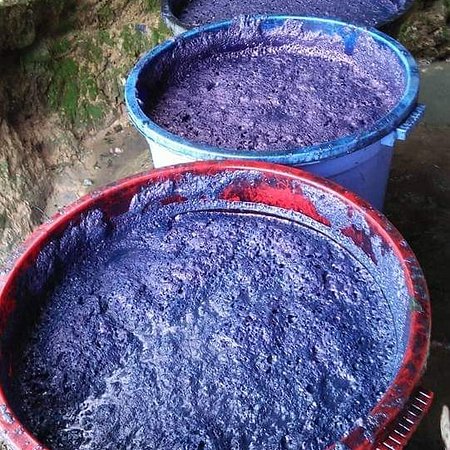 A picture of indigo dye used to dye Clothes.
