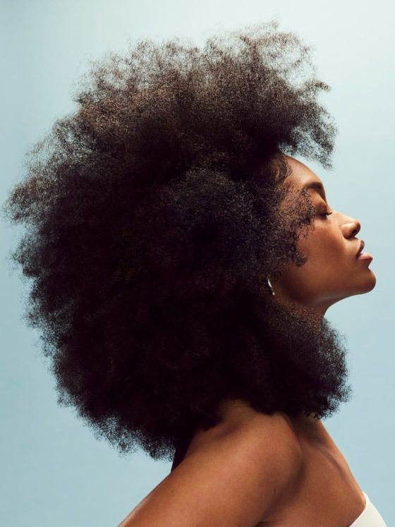 Afro-Hair Renaissance: The Rise of Afro Hair Culture and the Natural Hair Movement