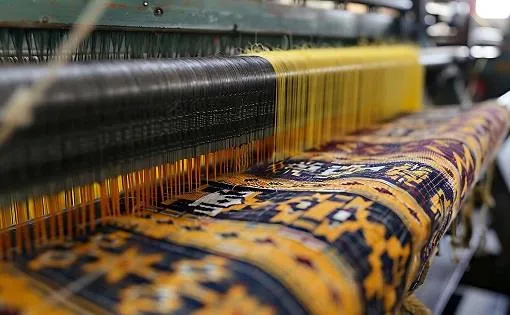 The Loom Learns a Digital Language