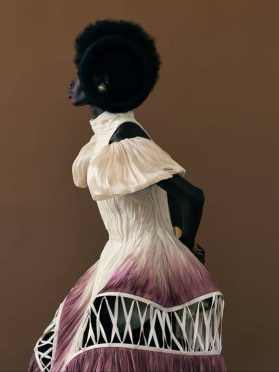 The Global Migration of Cotton: How One Fibre Connected Civilisations and Closets