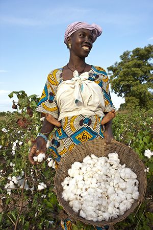 Cotton and the Industrial Transformation of Fashion