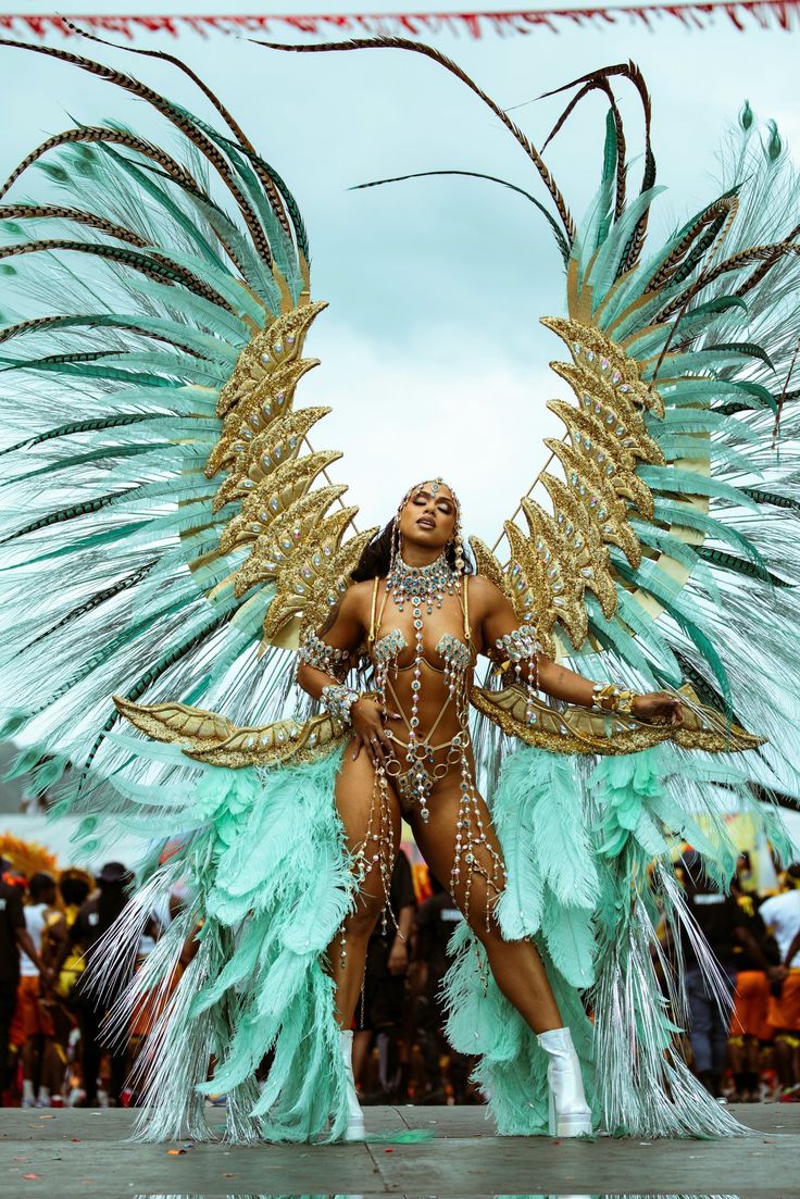 Why Carnival Is Misclassified