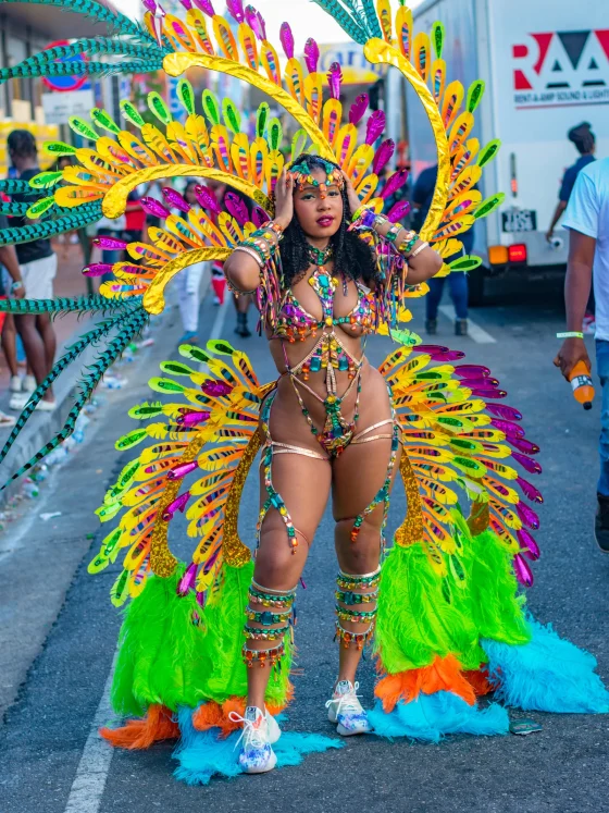 Trinidadian Carnival Masquerade Is a Fashion System; It Is Time the World Called It That