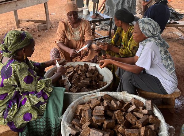 African Black Soap Is Not Basic: It Is a Formulated System