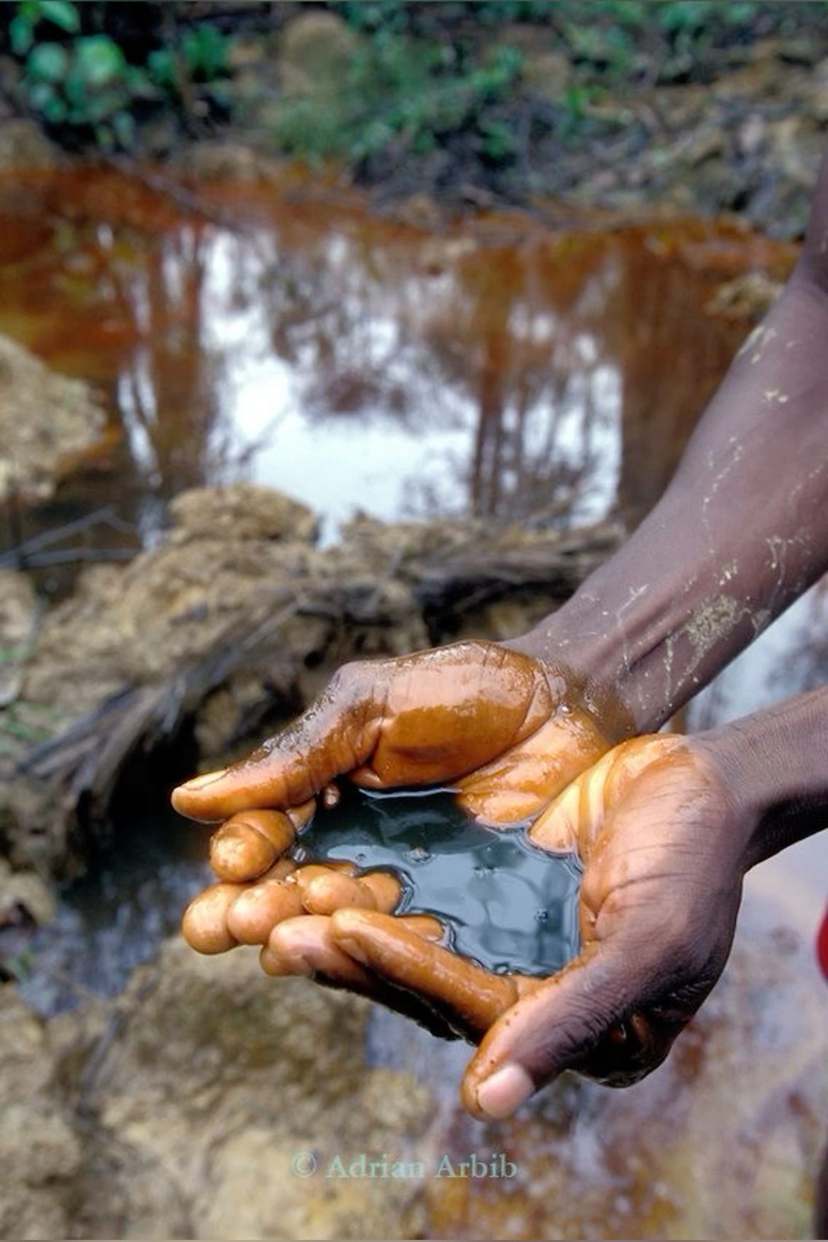 Environmental factors like pollution, humidity, and water quality affect dark skin in Africa.
