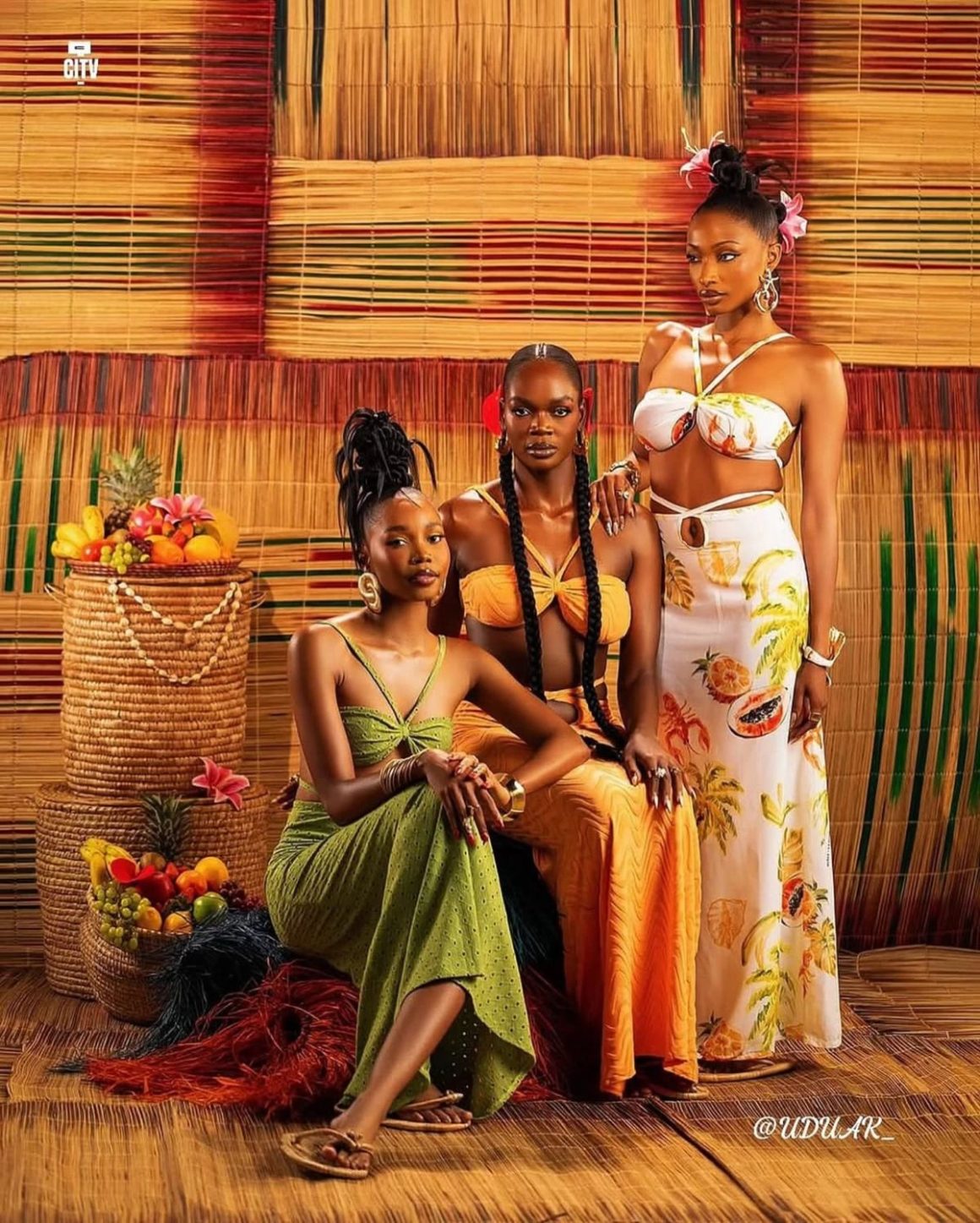 Afro-Dominican Fashion: Visibility, Identity, and the Dress Culture of Dominican Communities