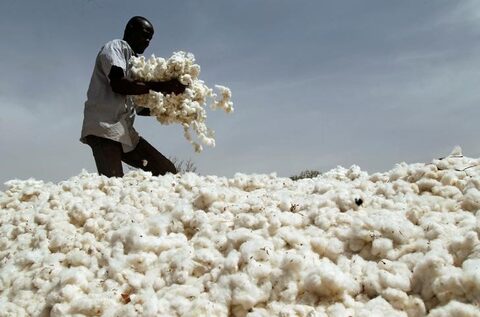 Africa grows cotton. Asia Spins the Yarn. Who Profits?