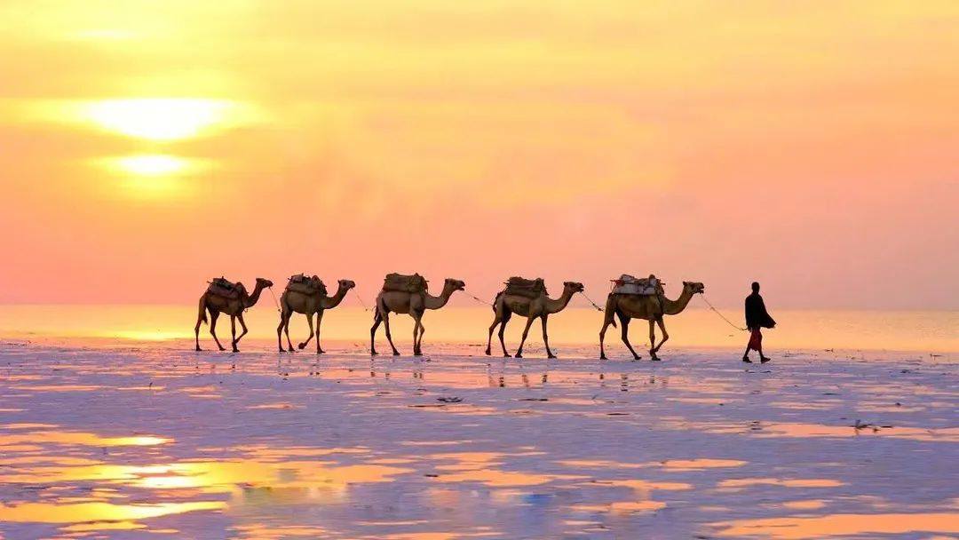 The Salt Plains and Lake Afrera