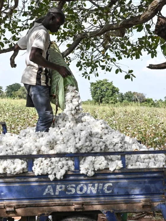 Africa grows cotton. Asia Spins the Yarn. Who Profits?