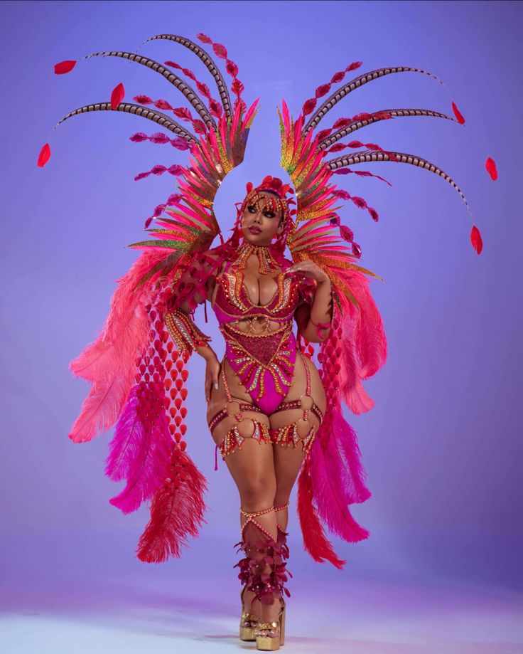 What Carnival Costume Is