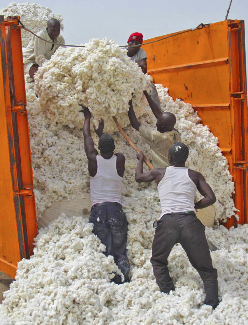 Where It Grows: Burkina Faso, Tanzania, Uganda, and the West African Cotton Belt