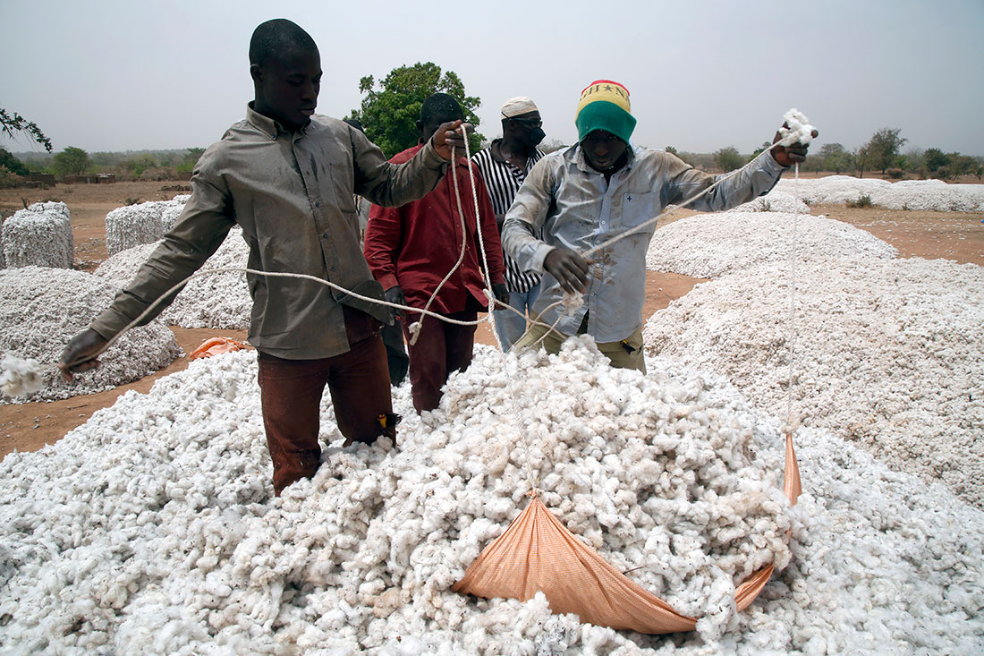 Sourcing in Practice: What Direct Access to African Organic Cotton Requires