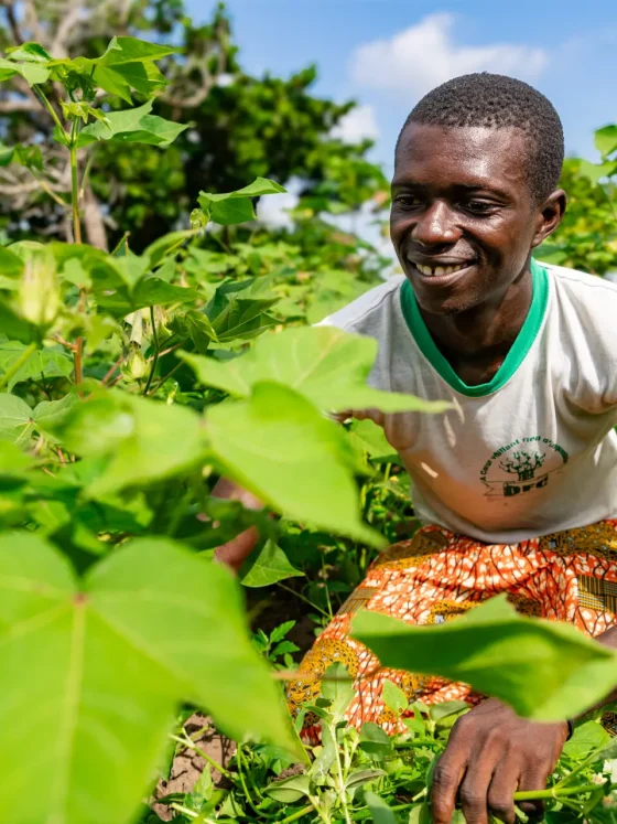 Sourcing Sustainable and Organic Cotton in Africa: From Burkina Faso's Fields to the Finished Garment