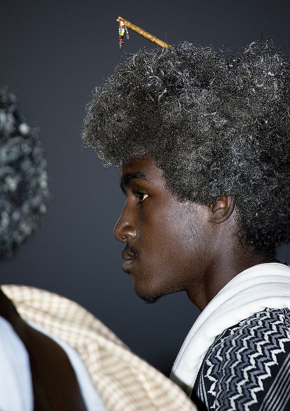 Afar Men's Hair Traditions: The Two Styles and Their Makers