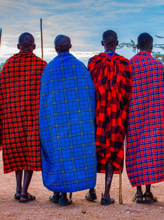 Maasai Shuka: The Cloth, the Community and the Politics of Cultural Value