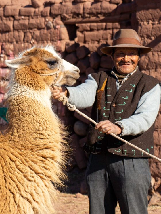 What Can a Fashion Buyer Actually Verify About Peruvian Alpaca?
