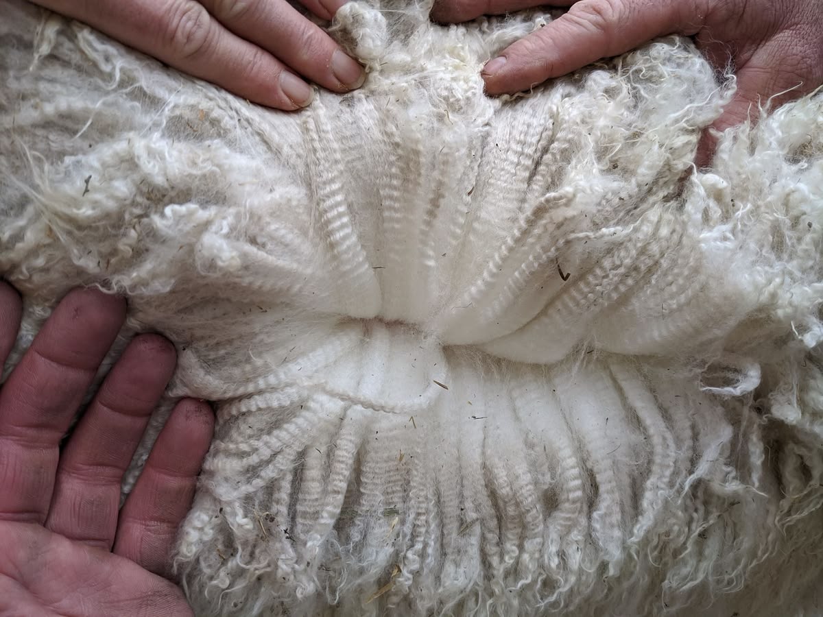 Alpaca Grade Vocabulary and the Wider Provenance Argument