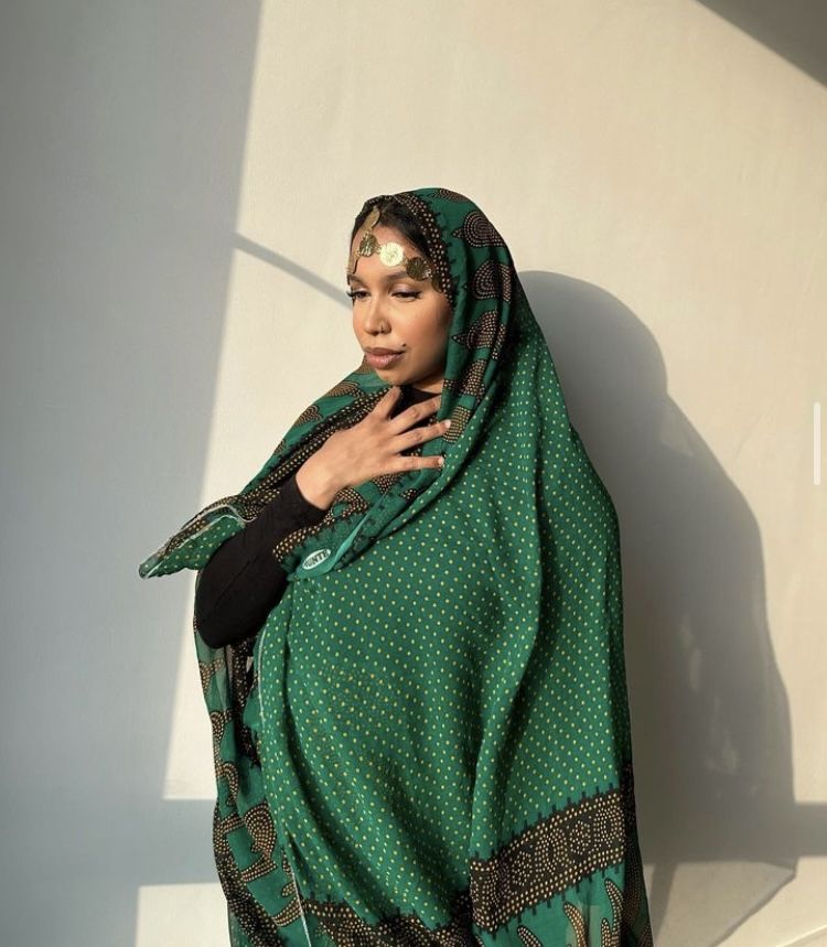 The Rashaida: A Completely Different System