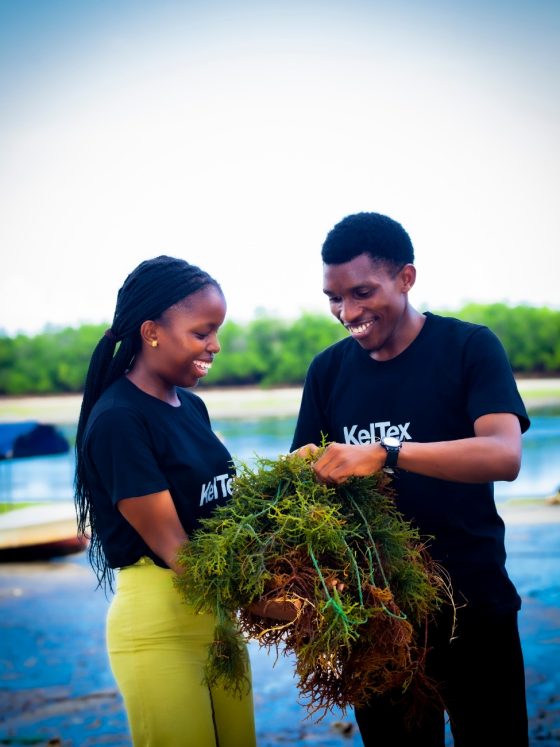 From Seaweed to Leather: Tanzanian Innovation Wins Global Change Award